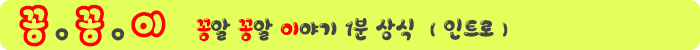 꽁꽁이.png